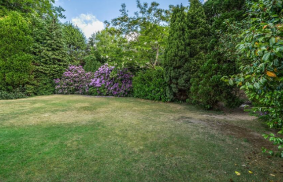 Plot for sale in Haslemere photo